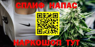 гидра Славянск-на-Кубани