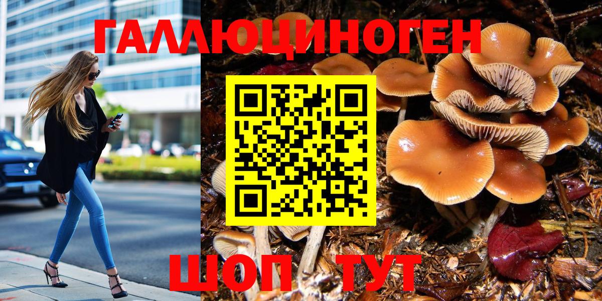 Псилоцибиновые грибы GOLDEN TEACHER Сибай